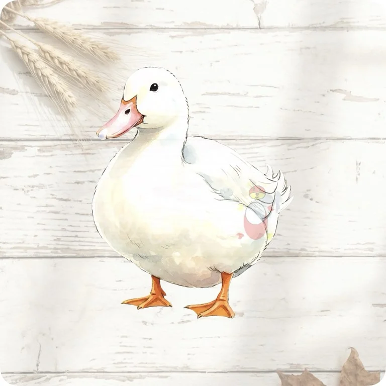 Free Heritage Duck PNG | Vintage Rustic Farm Bird Illustration — Rustic Farm Bird Clipart | Watercolor Turkey Duck watercolor clipart