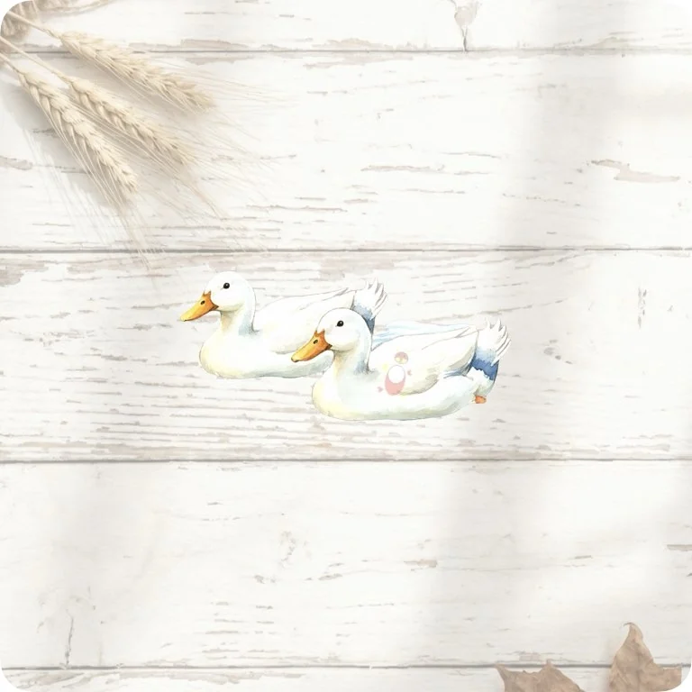 Free Rustic White Ducks PNG | Farmyard Bird Art for Decor — Rustic Farm Bird Clipart | Watercolor Turkey Duck watercolor clipart