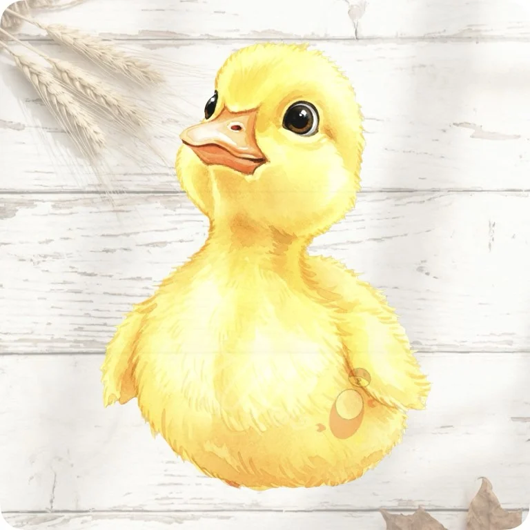 Free Cute Baby Duckling PNG | Rustic Nursery Farm Animal Clipart — Rustic Farm Bird Clipart | Watercolor Turkey Duck watercolor clipart
