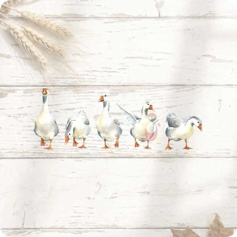 Free Watercolor Goose Flock PNG | Cute Farm Bird Group Clipart — Rustic Farm Bird Clipart | Watercolor Turkey Duck watercolor clipart