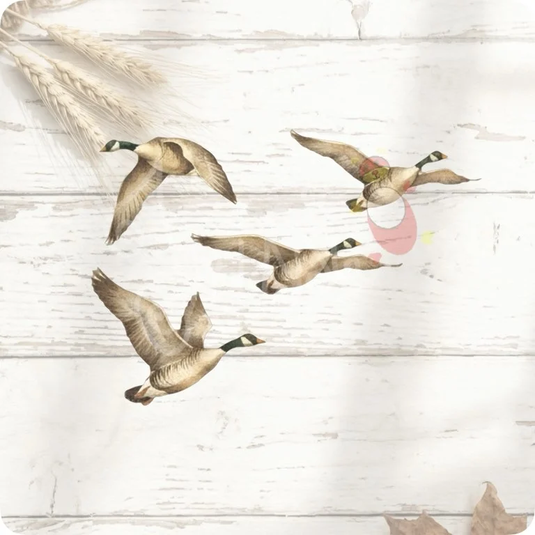 Free Flying Geese Formation PNG | Vintage Watercolor Farm Bird Art — Rustic Farm Bird Clipart | Watercolor Turkey Duck watercolor clipart
