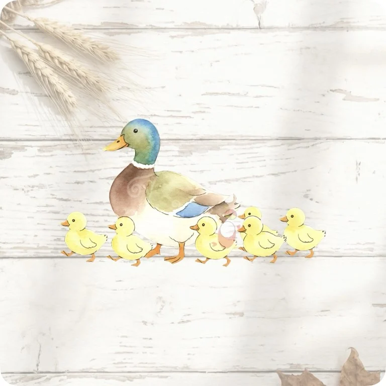 Free Duck Family PNG | Rustic Mother Duck & Ducklings Clipart — Rustic Farm Bird Clipart | Watercolor Turkey Duck watercolor clipart