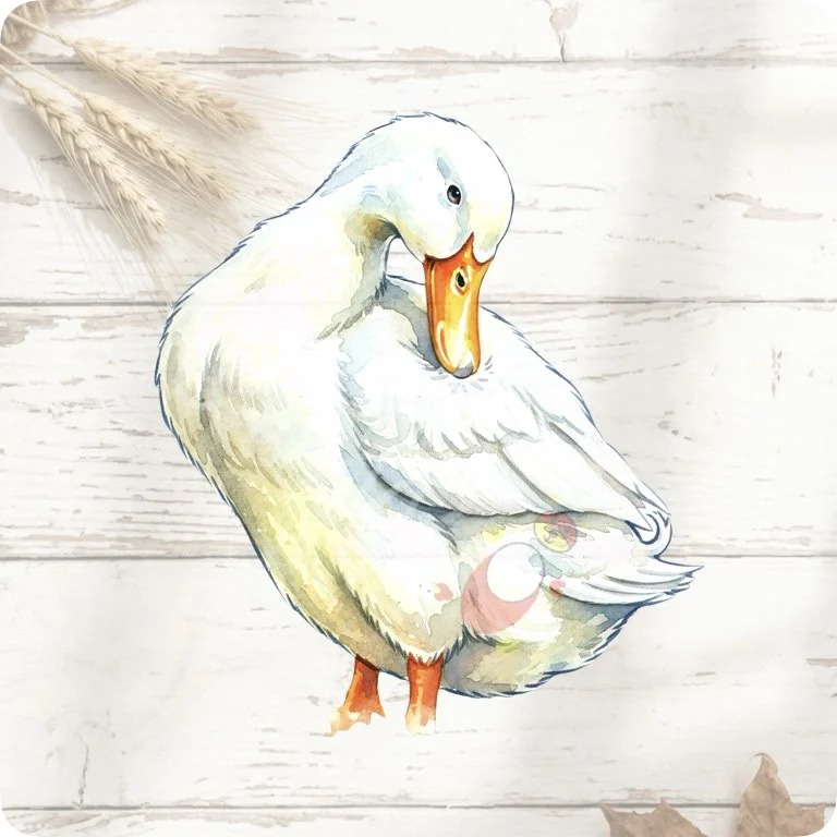 Free Orange Bill Duck PNG | Cute Waterfowl Farm Bird Clipart — Rustic Farm Bird Clipart | Watercolor Turkey Duck watercolor clipart