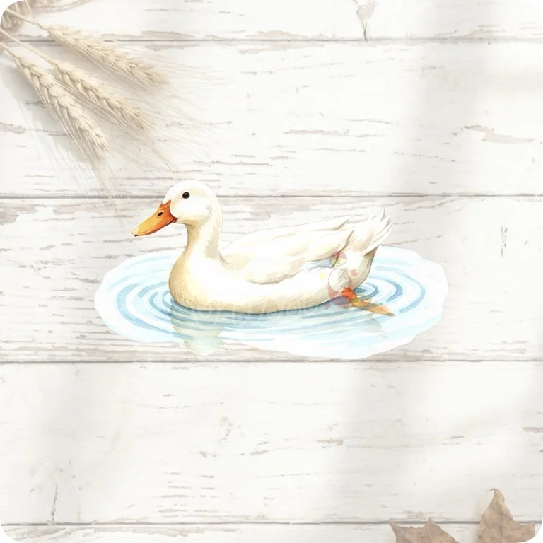 Free Swimming Pond Duck PNG | Cute White Duck Water Clipart — Rustic Farm Bird Clipart | Watercolor Turkey Duck watercolor clipart