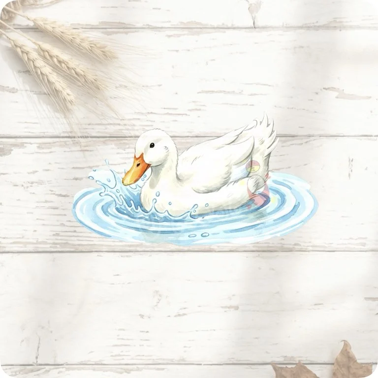 Free Diving Duck PNG | Cute Splashing Farm Bird Clipart — Rustic Farm Bird Clipart | Watercolor Turkey Duck watercolor clipart