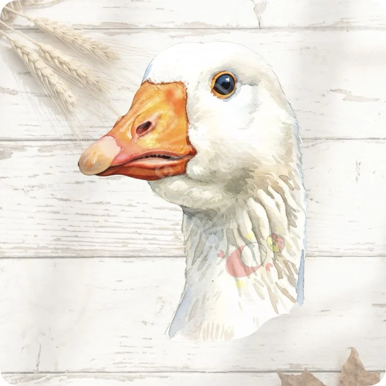 Free Goose Portrait PNG | Rustic Farm Animal Head Clipart — Rustic Farm Bird Clipart | Watercolor Turkey Duck watercolor clipart