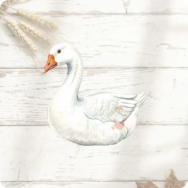 Free Graceful White Goose PNG | Elegant Rustic Farm Bird Art — Rustic Farm Bird Clipart | Watercolor Turkey Duck watercolor clipart